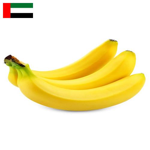 Бананы из Объединенных Арабских Эмиратов