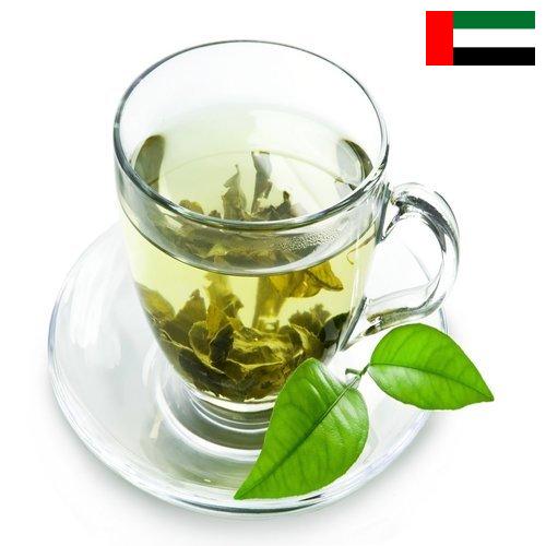 чай зеленый байховый из Объединенных Арабских Эмиратов