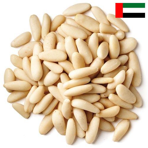 Кедровые орехи из Объединенных Арабских Эмиратов