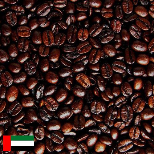 кофе жареный молотый из Объединенных Арабских Эмиратов