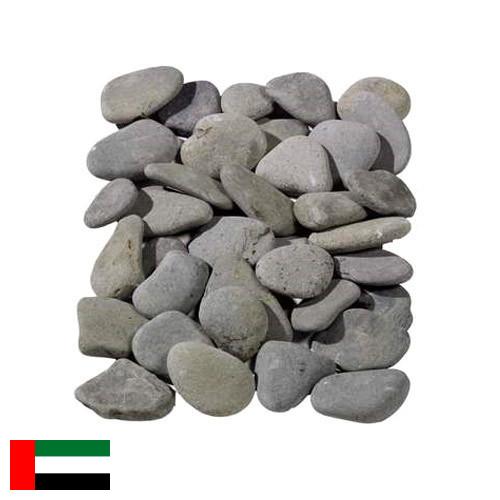 косточки из Объединенных Арабских Эмиратов