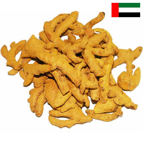 Куркума из Объединенных Арабских Эмиратов