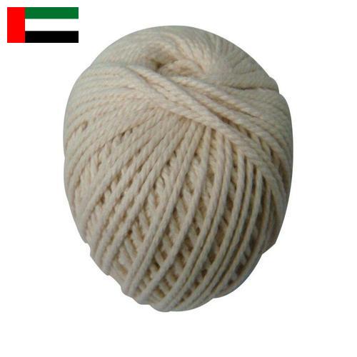 нить хлопчатобумажная из Объединенных Арабских Эмиратов