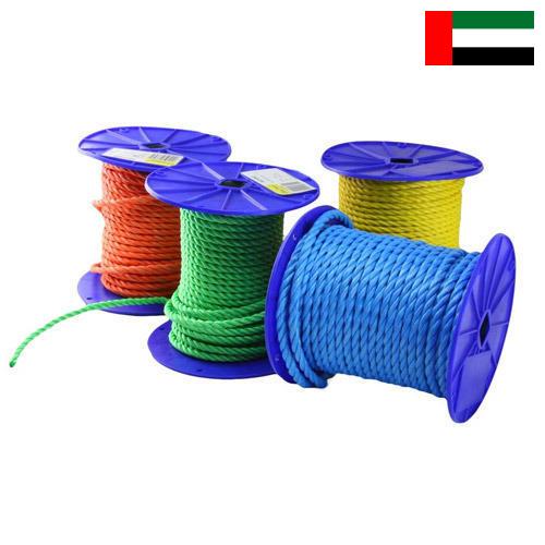 Полипропилены из Объединенных Арабских Эмиратов