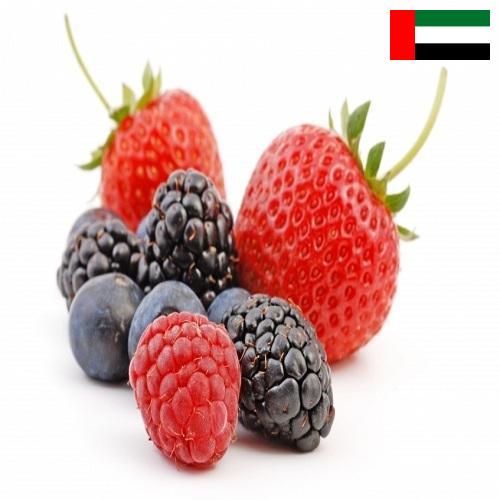 Ягоды из Объединенных Арабских Эмиратов