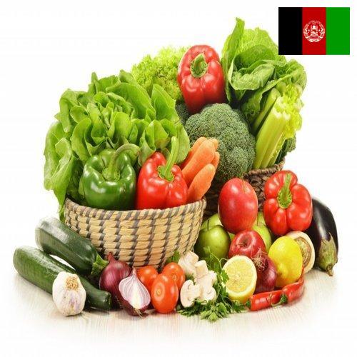 Овощи свежие из Афганистана