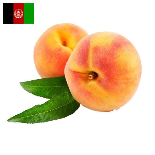 Персики из Афганистана