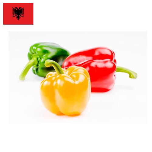 Перец сладкий Албания