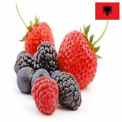 Ягоды Албания