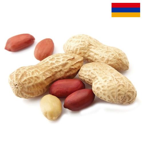 Арахис из Армении