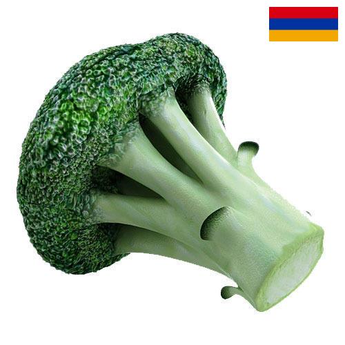 брокколи из Армении