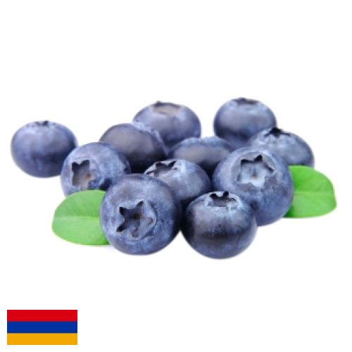 Черника из Армении