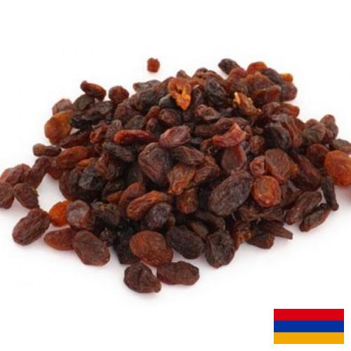 Изюм из Армении