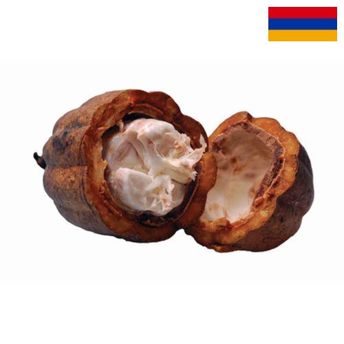 Какао масло из Армении