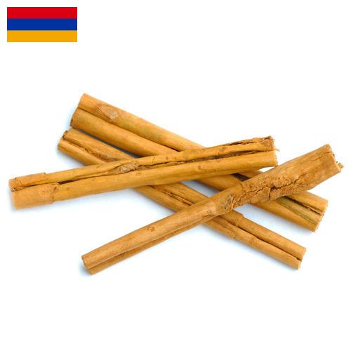Корица из Армении