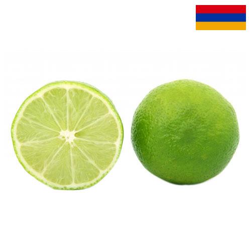 лайм из Армении