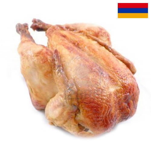 мясо куриное из Армении