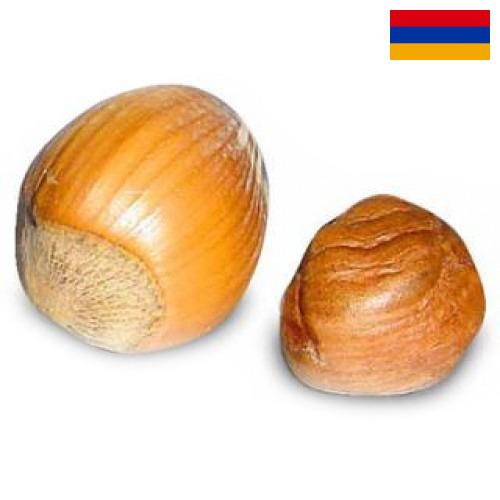 орех фундук из Армении