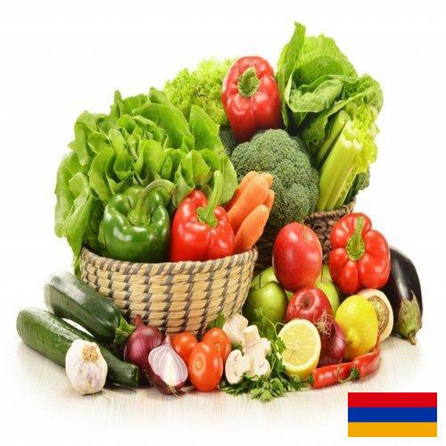 Овощи свежие из Армении