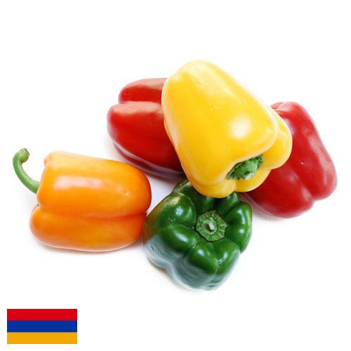 перец болгарский свежий из Армении