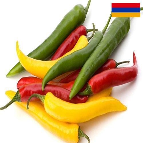 Перец чили из Армении