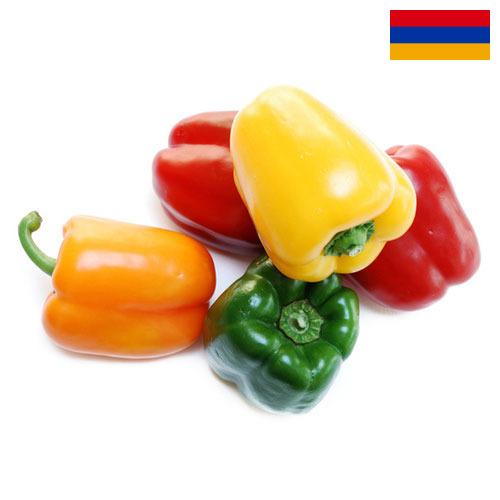 перец сладкий свежий из Армении