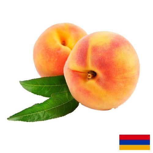Персики из Армении