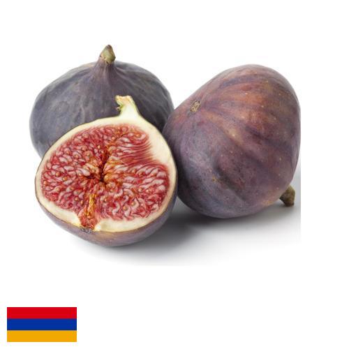 Рис из Армении