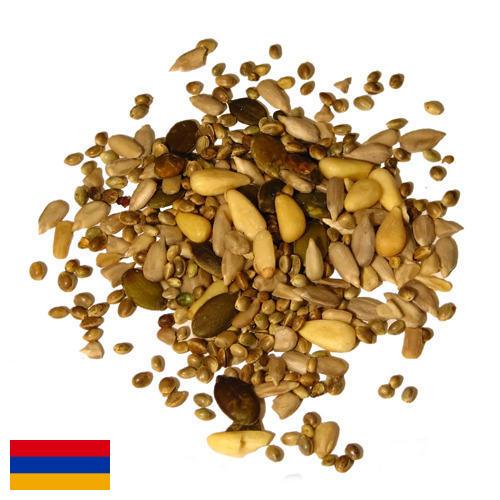 Семечки из Армении
