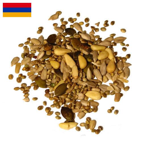 Семена из Армении