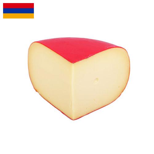 сыр гауда из Армении