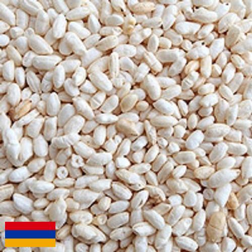 Воздушный рис из Армении