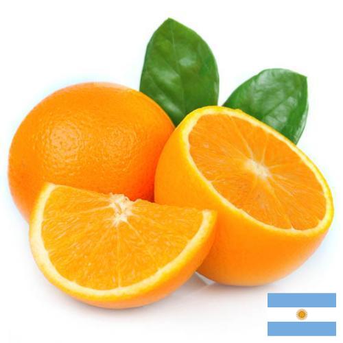 Апельсины из Аргентины