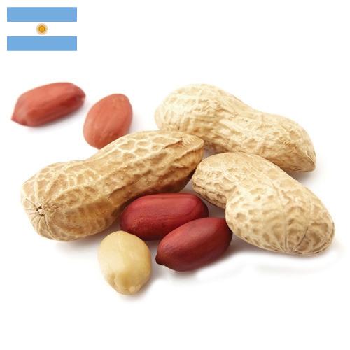 арахис очищенный из Аргентины