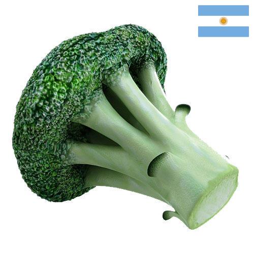 брокколи из Аргентины