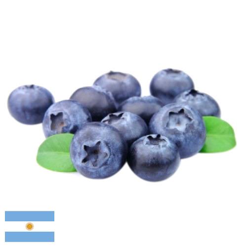 Черника из Аргентины