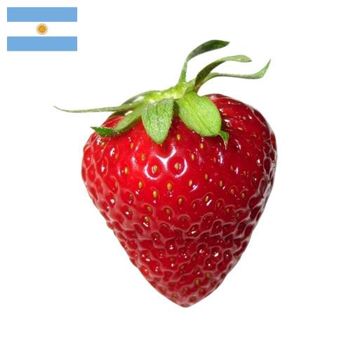 Клубника из Аргентины