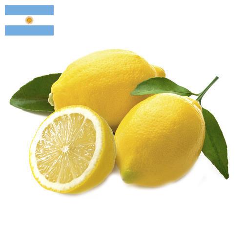лимон свежий из Аргентины