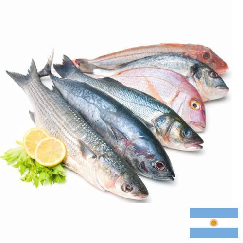Морепродукты из Аргентины