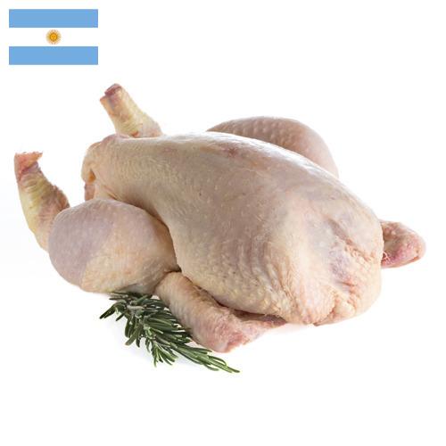 мясо птицы тушка из Аргентины