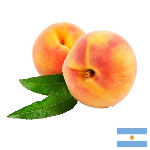Персики из Аргентины