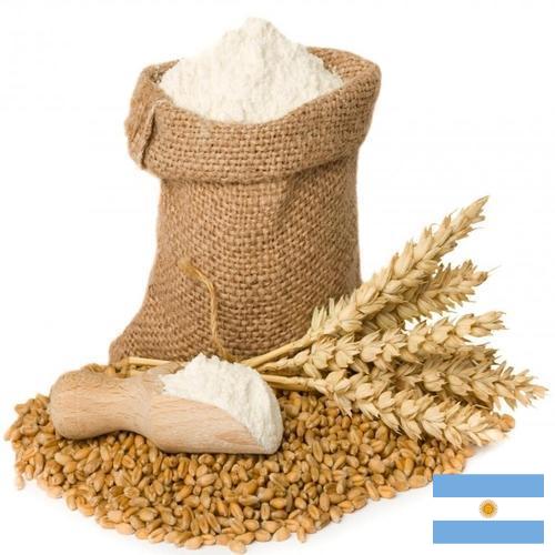 Пшеничная мука из Аргентины