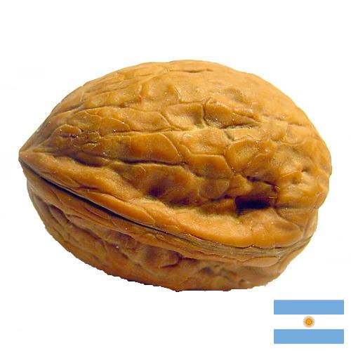 Скорлупа грецкого ореха из Аргентины
