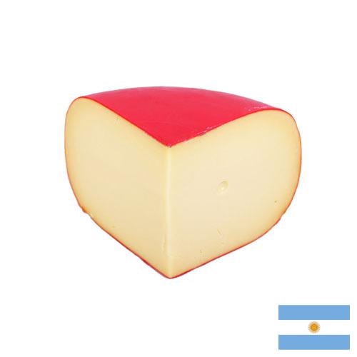сыр гауда из Аргентины