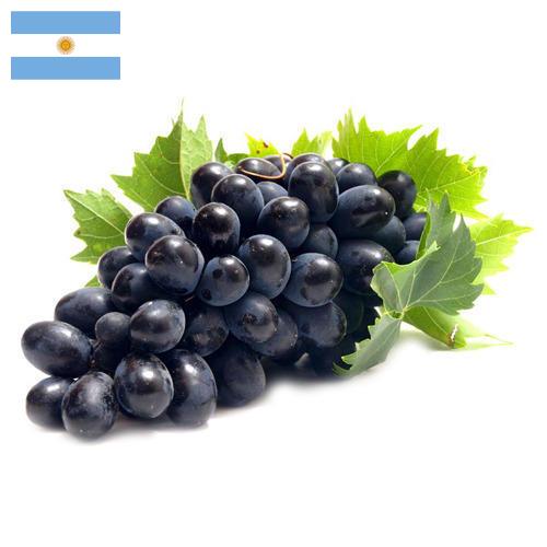 Виноград из Аргентины
