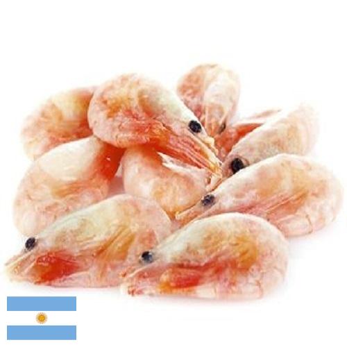 замороженные креветки из Аргентины