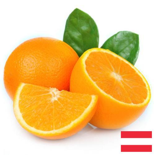 апельсины свежие из Австрии
