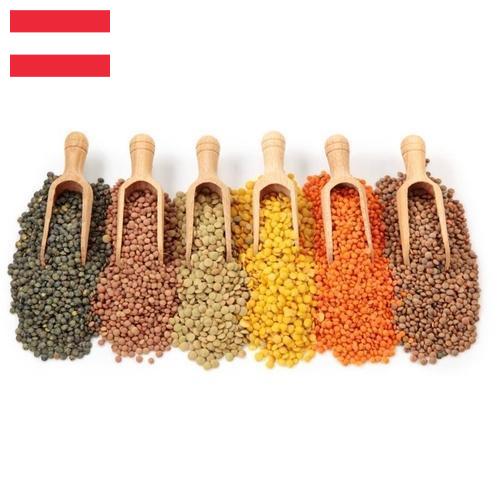 Бобовые культуры из Австрии