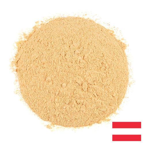 чеснок порошок из Австрии