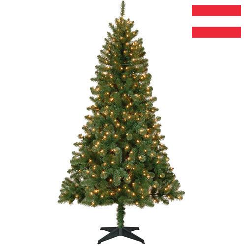 Елки новогодние из Австрии